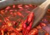 How Crawfish Catering Enhances Your Event in Houston crawfish catering