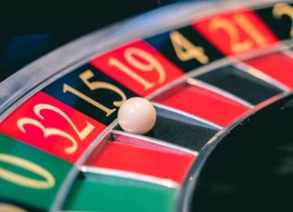 Reddybook Is Becoming a Favorite Choice Among Bettors Reddybook